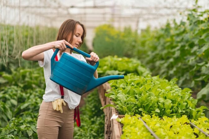 Eco-Friendly Landscaping Ideas You Can Start Today